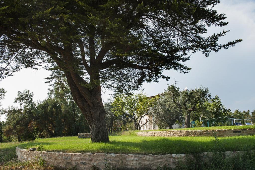 Villa Marchetti Cupra Marittima Luaran gambar